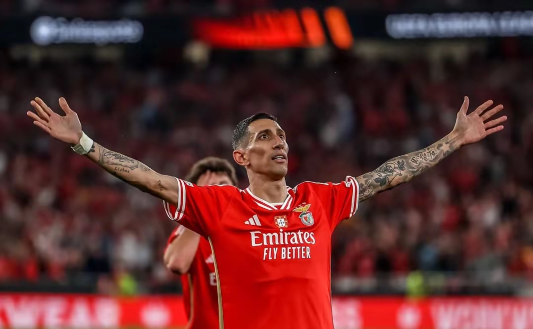 九游-西甲清晨再迎强敌，本菲卡强势反弹，主帅态度——话题不断，轮换策略成焦点的简单介绍